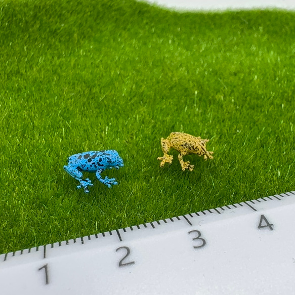 ヤドクガエル 苔テラリウムフィギュア 2匹セット その他雑貨 まりも
