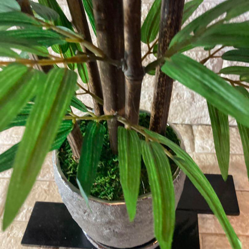 光触媒　人工観葉植物　ウォールグリーン　フェイクグリーン　黒竹@ad 光触媒 人工観葉植物 ウォールグリーン フェイクグリーン 黒竹