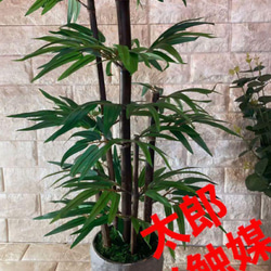 光触媒 人工観葉植物 ウォールグリーン フェイクグリーン 黒竹
