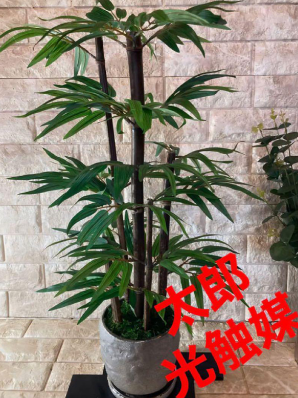 光触媒　人工観葉植物　ウォールグリーン　フェイクグリーン　黒竹1.35m
