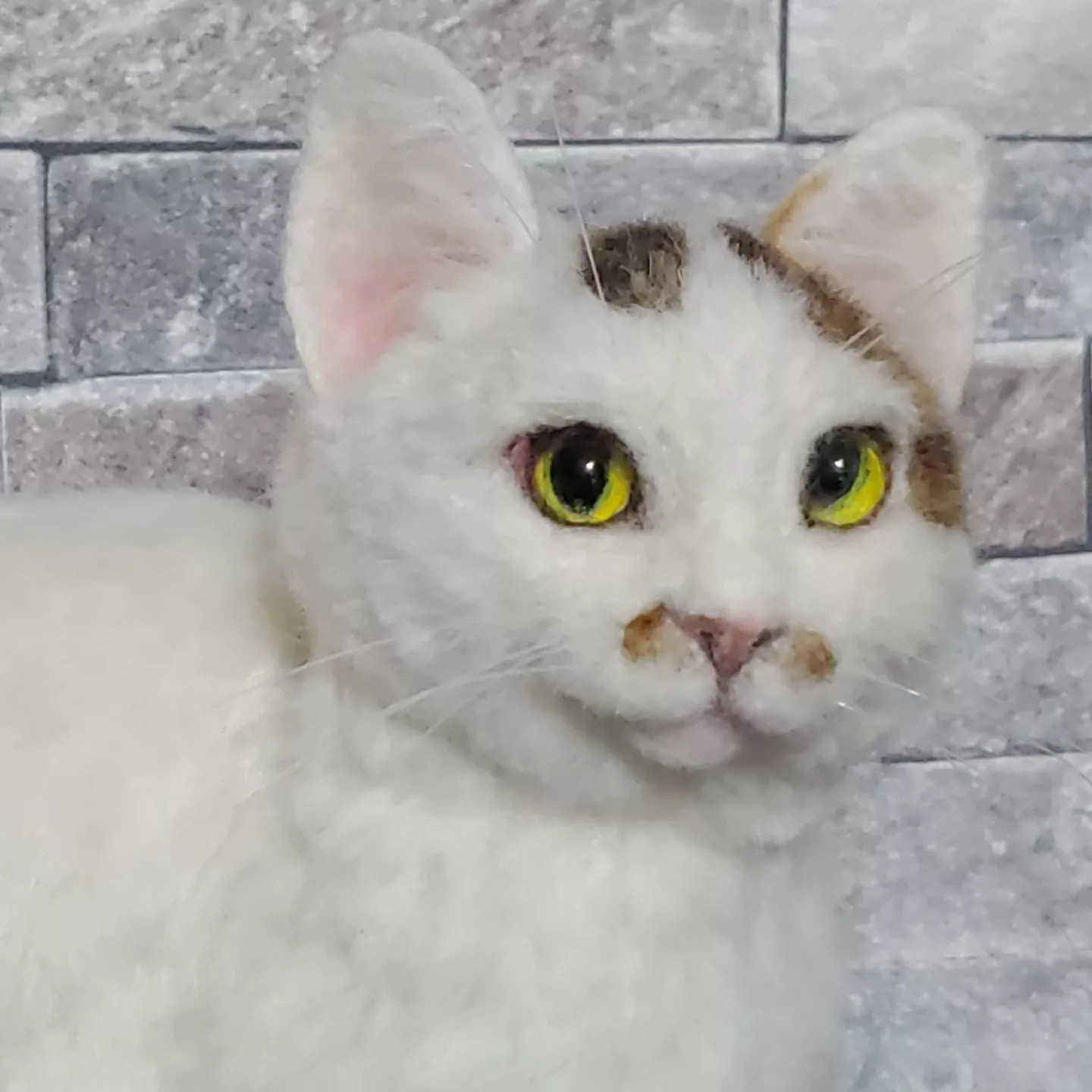 羊毛フェルトオーダーメイド、受注制作、羊毛フェルト犬、猫、ペットロス