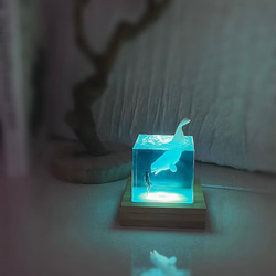 白鲸与潜水员立方桌摆/ 夜光海洋小夜灯 第7張的照片