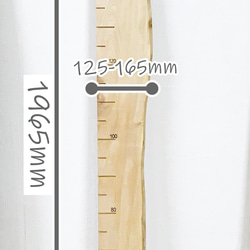 ★Hさま専用★　【木の身長計　耳付き材】とち／N-SIN-TC-37　お子さまの成長を見守る 3枚目の画像