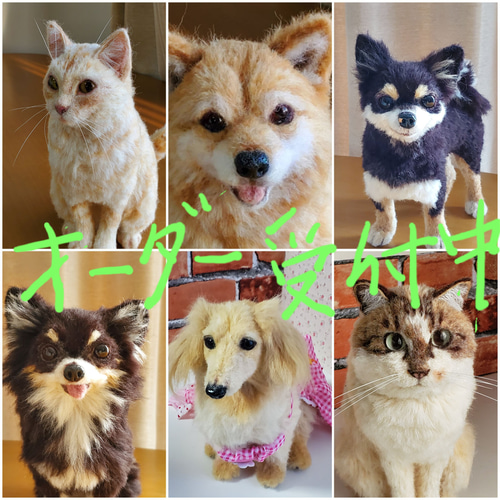 羊毛フェルトオーダーメイド、受注制作、羊毛フェルト犬、ペット 羊毛フェルトオーダーメイド、受注制作、羊毛フェルト犬、ペット