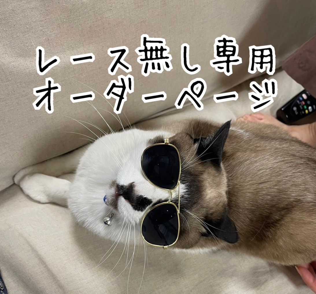 レース無し　オーダーページ