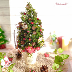 喜び溢れる大人可愛いクリスマスツリー♡ 11枚目の画像