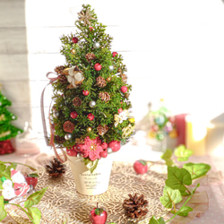 喜び溢れる大人可愛いクリスマスツリー♡ 9枚目の画像