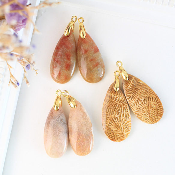 白妙◇パープルフォッシルコーラル 白妙◇パープルフォッシルコーラル