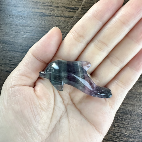 イルカフローライト ◇インテリアや贈り物に◇天才の石◇マルチカラー