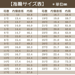  第5張的照片