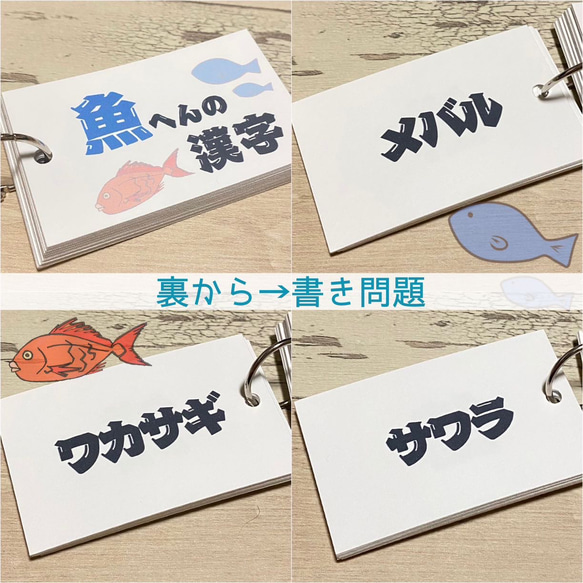 魚へんの漢字カード　漢字　趣味　さかな　難問漢字　小学生　中学生　参考書　暗記カード　単語カード　暇つぶし　 4枚目の画像