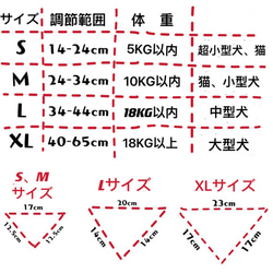  第9張的照片