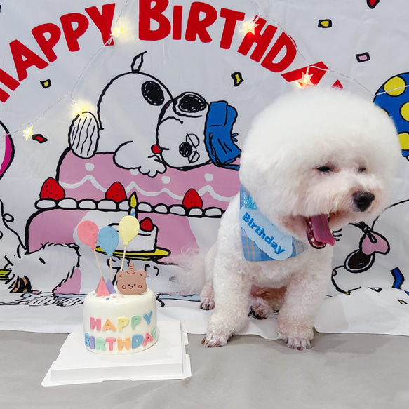 世界に一つだけの刺繍お誕生日バンダナ（お名前入れ）　  愛犬・愛猫グッズ うちの子グッズ 2枚目の画像