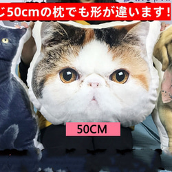 うちの子オーダーメイド】うちの子 クッション 枕 ペット 写真 うちの子グッズ☆犬 猫☆プレゼントにも 4枚目の画像