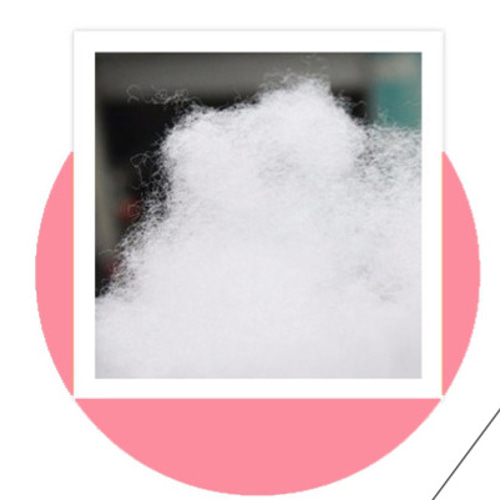 うちの子オーダーメイド】うちの子 キーホルダー小さな枕 ペット 写真