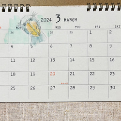 2024年　ハシビロコウ卓上カレンダー（手書き） 3枚目の画像