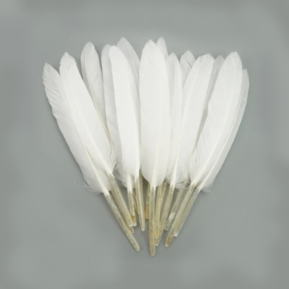 【10個】ふわふわ天然フェザー アヒルの羽 28色 ホワイト 1枚目の画像