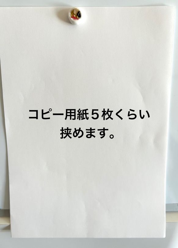 【選べる3個セット】ミニチュアフェイクパンマグネット 5枚目の画像