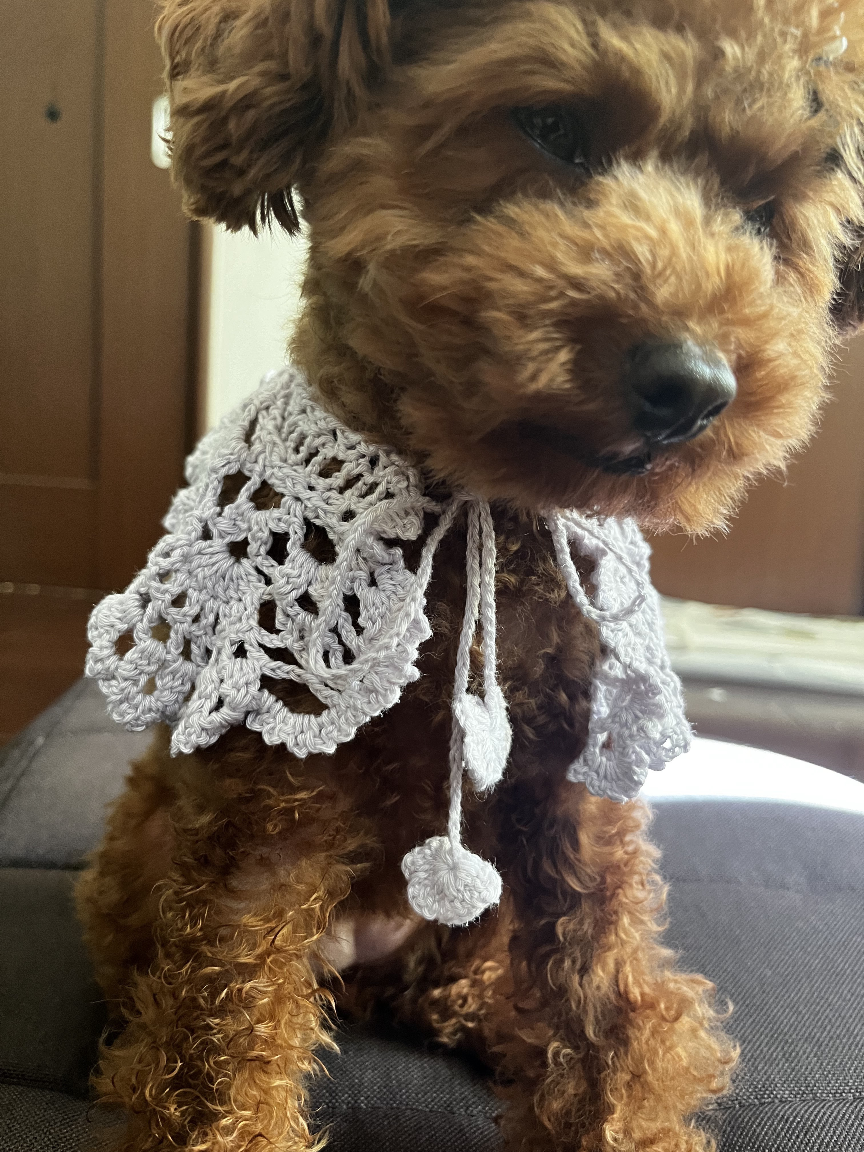 ペヘモリッケ様製 ハンドメイド くま つけ襟 ペヘモリッケ様製 ハンドメイド くま つけ襟 ペヘモリッケ様製