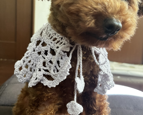 ワンコのつけ襟 ペット服・アクセサリー Mayumi 通販 16740137｜Creema