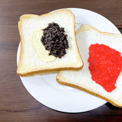 【4ヶ月待ち】食パンパスケース 6枚目の画像