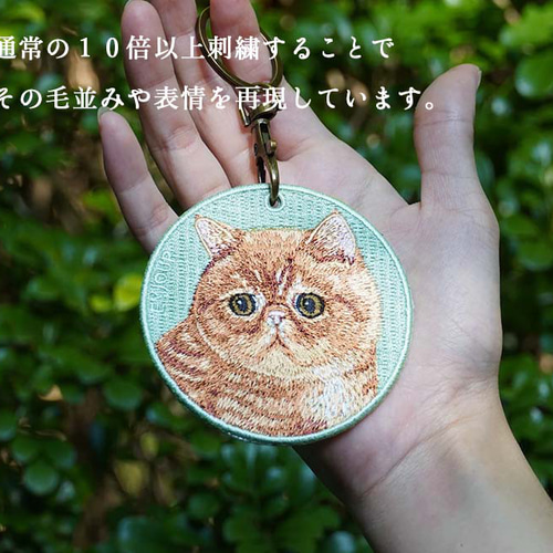 トロピカルネコ 青空の7匹の猫 250408 - YouTube