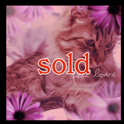 開光 逆向き双観音天珠 ブレスレット dzi ＊ ΚΑйON ＊ 通販 16740743