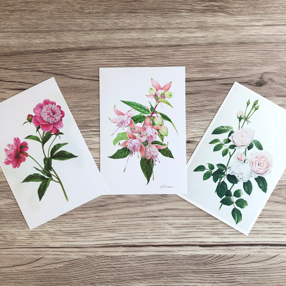 絵画 テクスチャーアート ボタニカルアート 花の絵 花柄