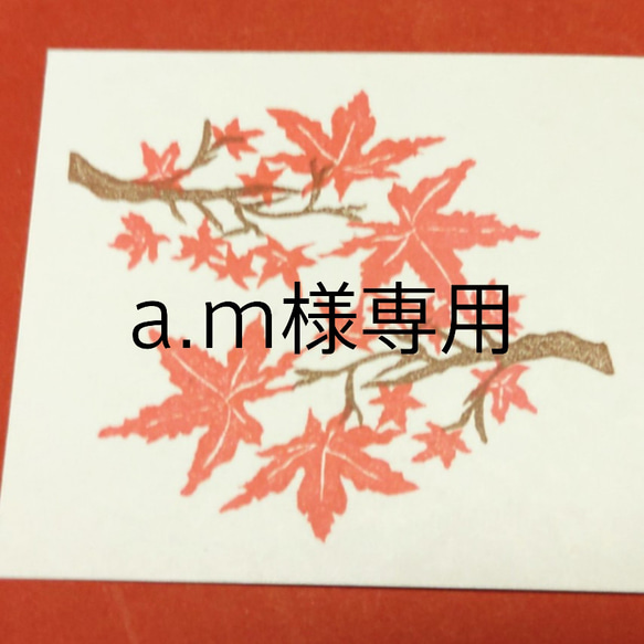 a.m様専用ページ 1枚目の画像