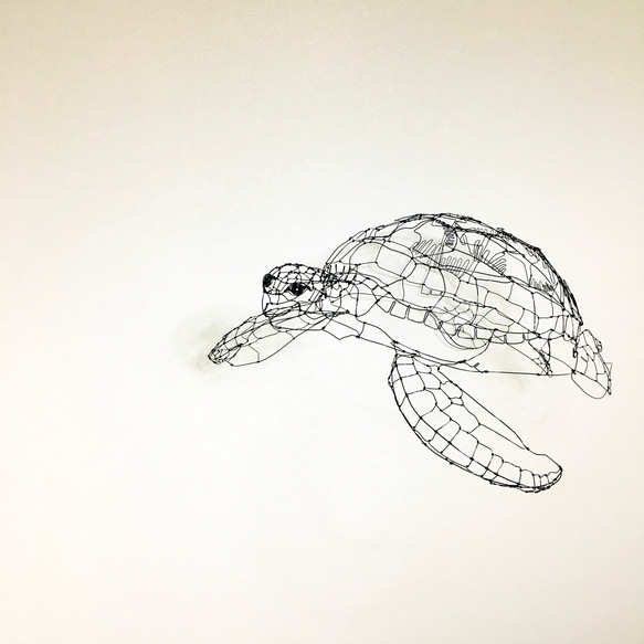 穏やかに泳ぐウミガメのワイヤーアート ワイヤーアート ワイヤークラフト 亀 ウミガメ 立体・オブジェ
