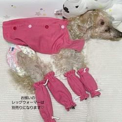 犬服 オーダー ◆ わんちゃんに優しい “おうちベスト” ◆ ふんわりWガーゼ（しわ加工）✕起毛フランネル 12枚目の画像
