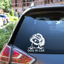 カッティングステッカー DOG IN CAR トイプードル プードル 3 3枚目の画像