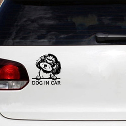 カッティングステッカー DOG IN CAR トイプードル プードル 3 2枚目の画像