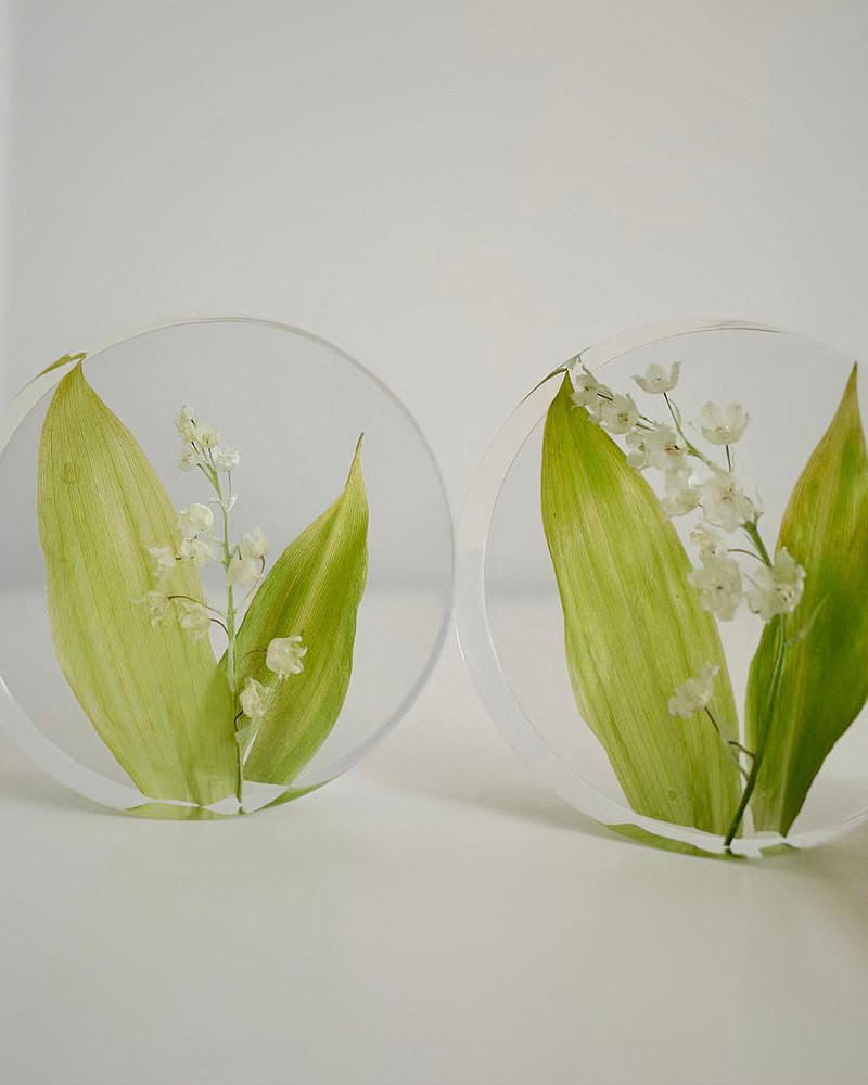 ひろ様 専用ページ すずらん ミモザ 樹脂標本 筆記体 errer 気泡 植物