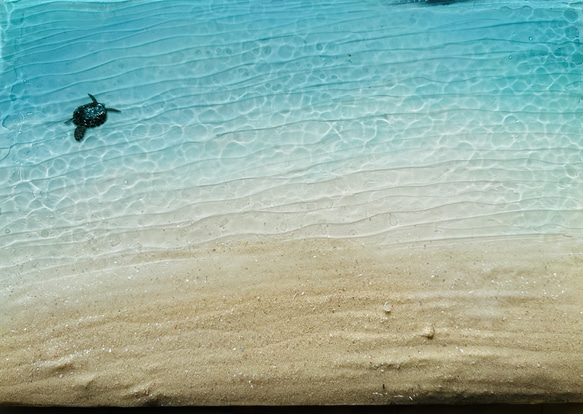 新作　壁掛けアートパネル  Sea of Turtles  亀の海　水中　45×30 6枚目の画像