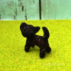 【受注制作作品】もこもこマスコット・甲斐犬のモッチー　☆羊毛フェルティング☆あかころ☆akatin☆ 5枚目の画像