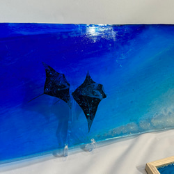 新作　壁掛けアートパネル マンタの海　オニイトマキエイ　ペア　ブルーシー　水中　70×30 4枚目の画像