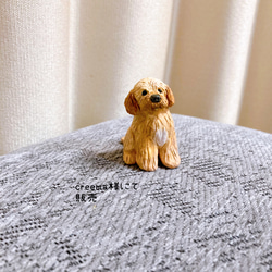 ラブラドゥードル　ミニチュア　子犬　犬　フィギュア　置物　オブジェ 1枚目の画像