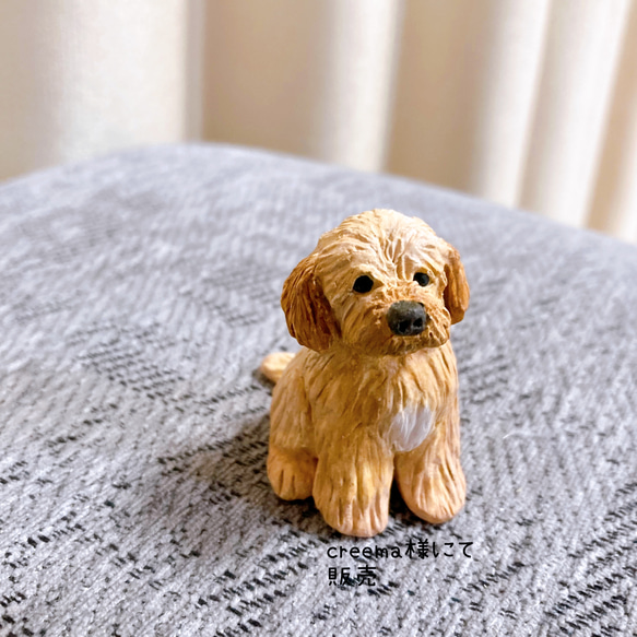 ラブラドゥードル　ミニチュア　子犬　犬　フィギュア　置物　オブジェ 6枚目の画像