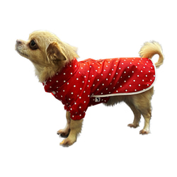 犬服　レインコート　撥水　赤の水玉・青の水玉 2枚目の画像