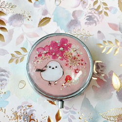 シマエナガ✧︎レジンピルケース 紅葉 レジン 螺鈿細工風 月と星とねこ ピルケース（小物入れ） その他