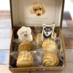 フランス産発酵バター（エシレ村）のクッキーアソートわん　焼き菓子　詰め合わせ　ギフト　プレゼント　犬　チャリティー 1枚目の画像