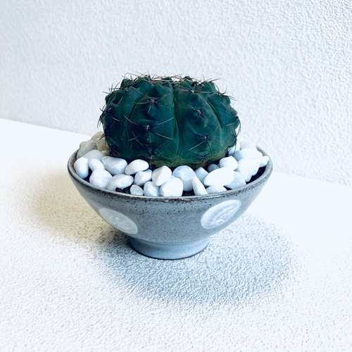 小石原焼　花入れ　つる手花入　箱無し 小さい伊万里焼の一輪挿し花瓶です。小花一輪、活けるのが楽しく