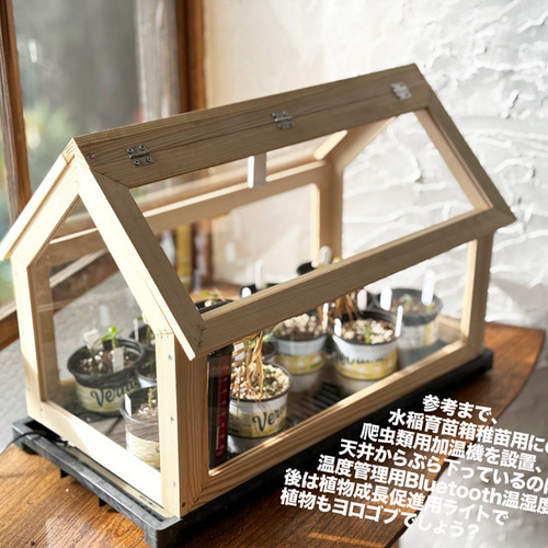 ミニ温室 その他インテリア雑貨 Fox Dives 通販 16743274｜Creema
