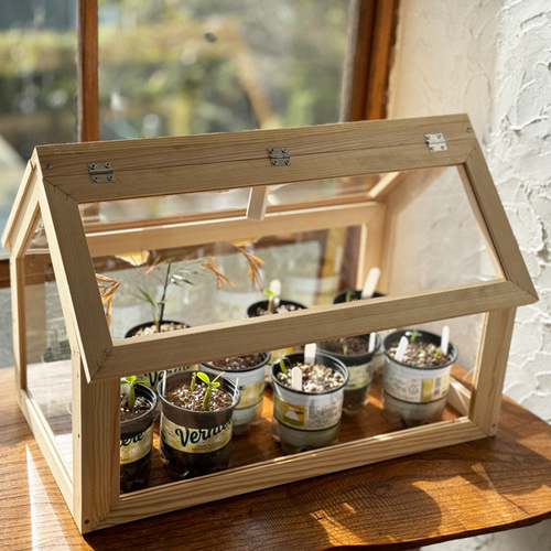 ミニ温室 その他インテリア雑貨 Fox Dives 通販 16743274｜Creema