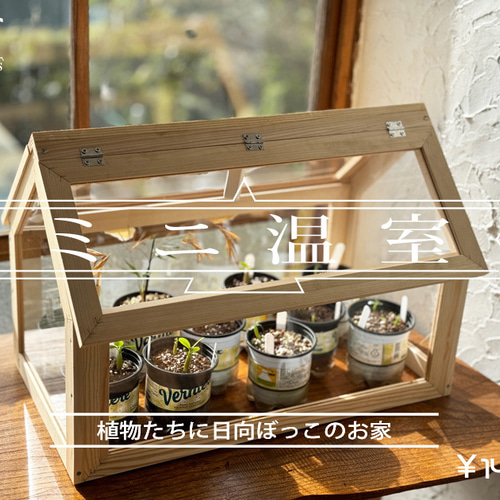 ミニ温室 その他インテリア雑貨 Fox Dives 通販 16743274｜Creema