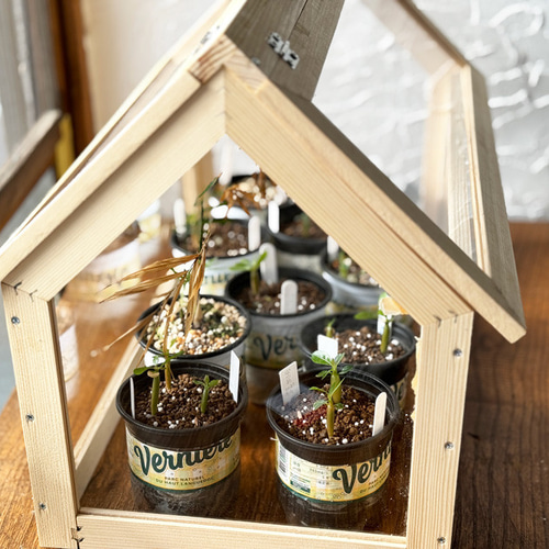 ミニ温室 その他インテリア雑貨 Fox Dives 通販 16743274｜Creema