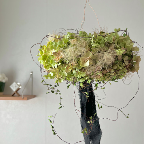 フライングリース(アナベル&ワイヤープランツ) / ドライフラワー  