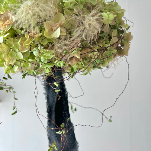 フライングリース(アナベル&ワイヤープランツ) / ドライフラワー  