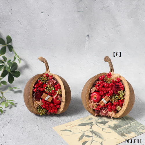 B】ブッダナッツのアレンジメント（レッドベリー＆アップル）【B  